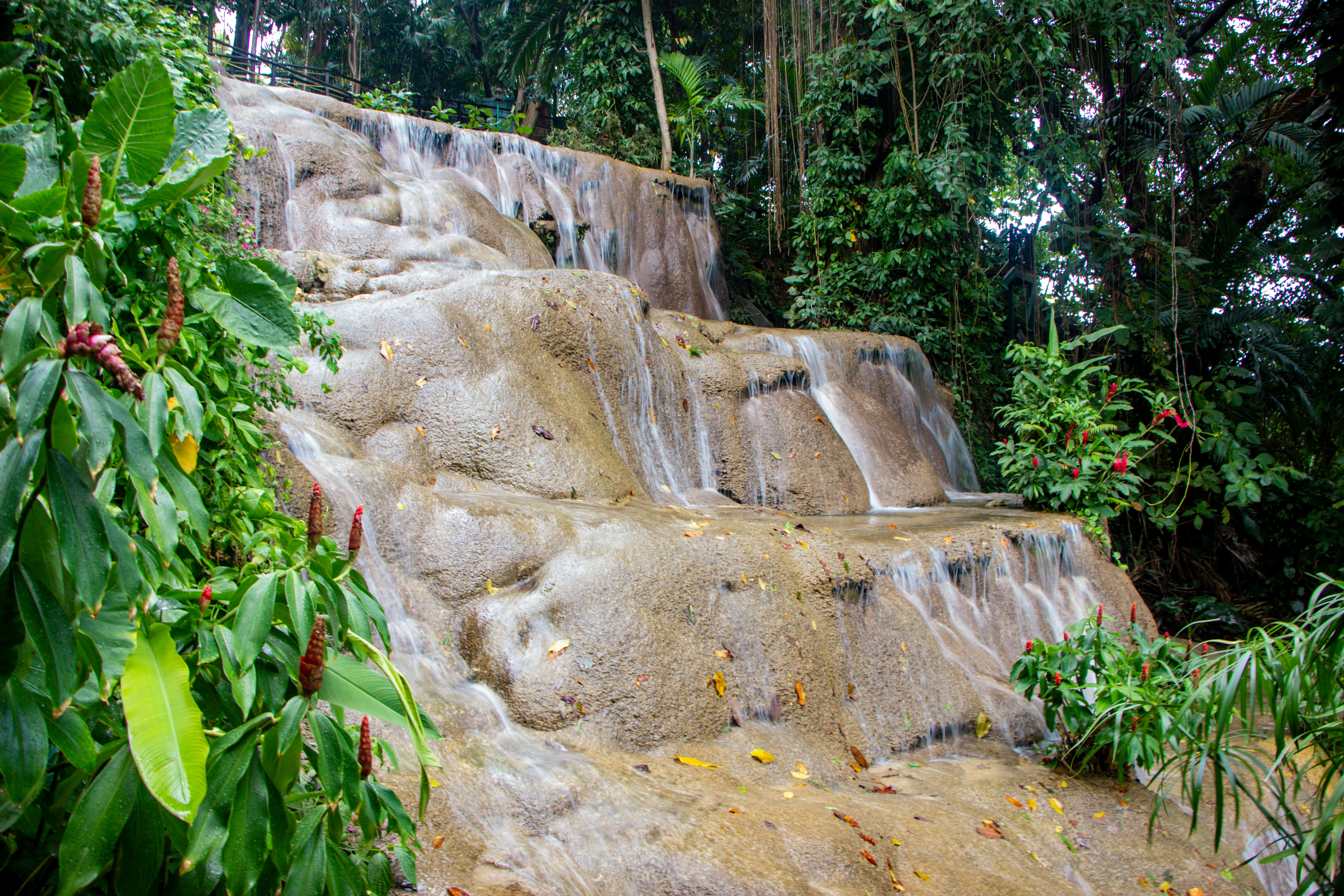 Konoko Falls CACHOEIRAS NA JAMAICA 2