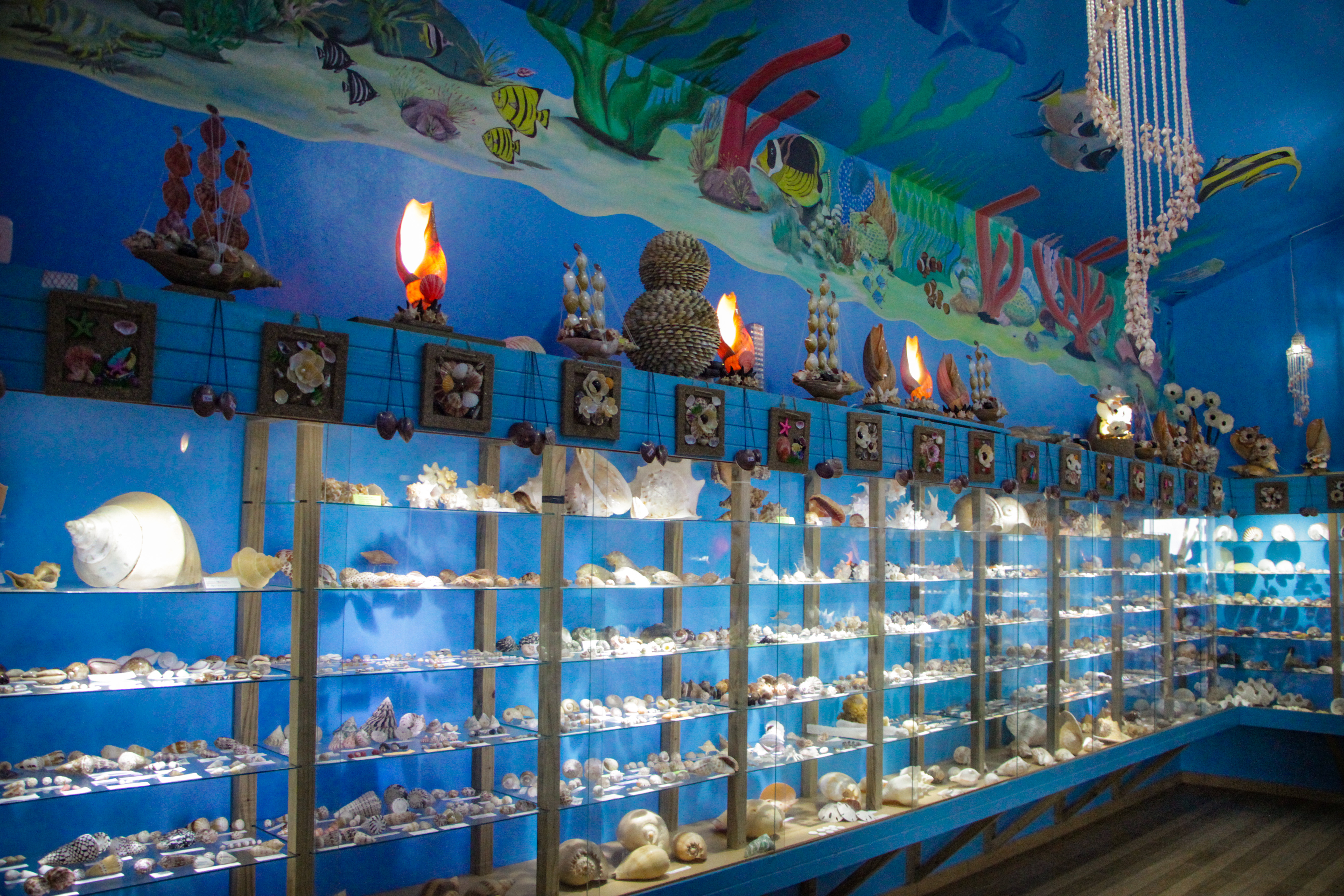 IMBITUBA: Museu das Conchas