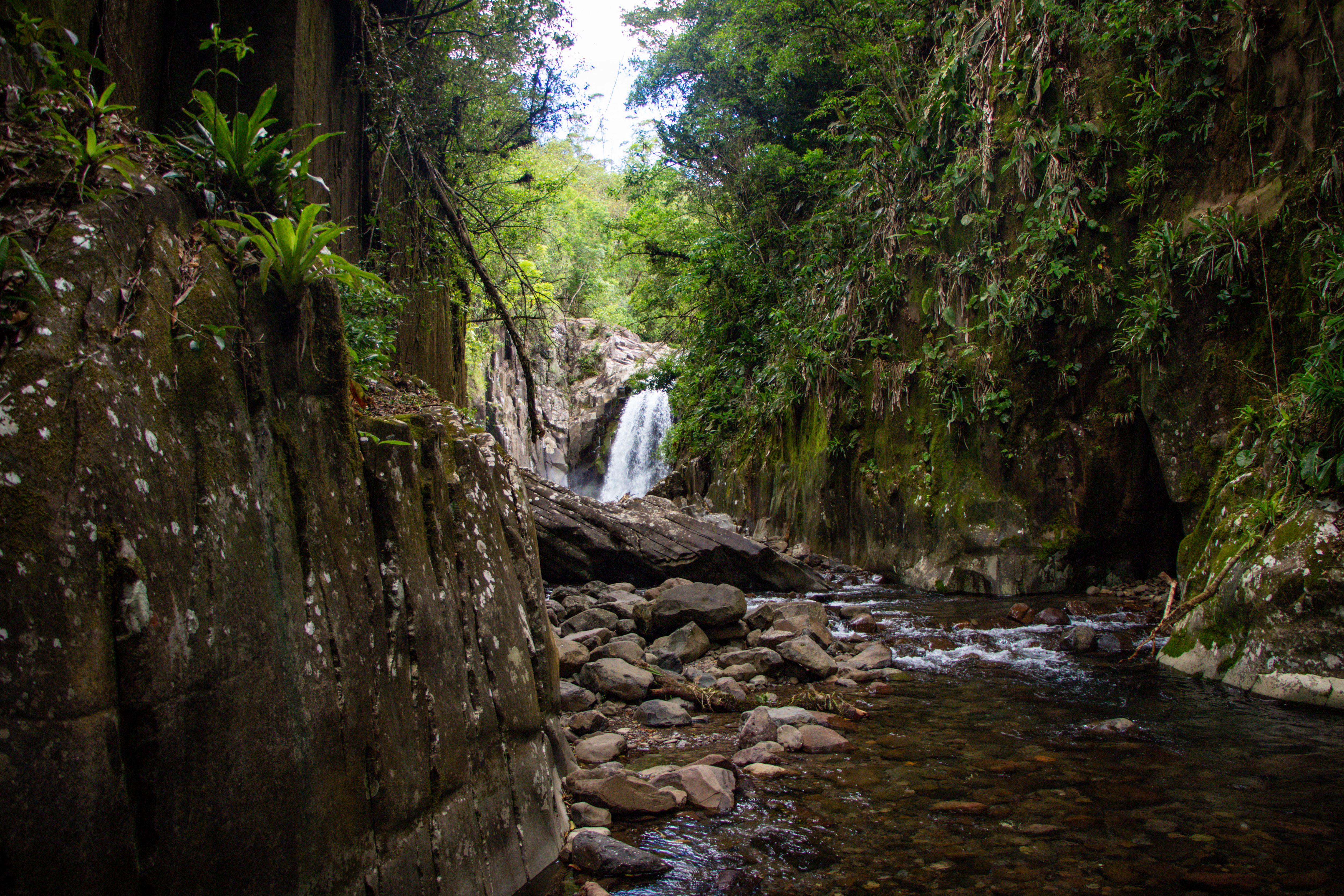 TREVISO, Cachoeira Cirenaica