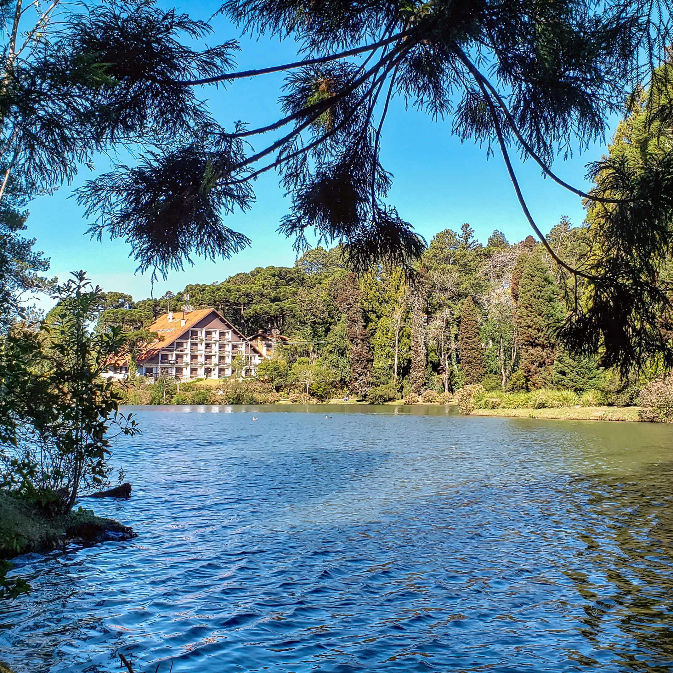 O QUE FAZER DE GRAÇA EM GRAMADO Lago Negro