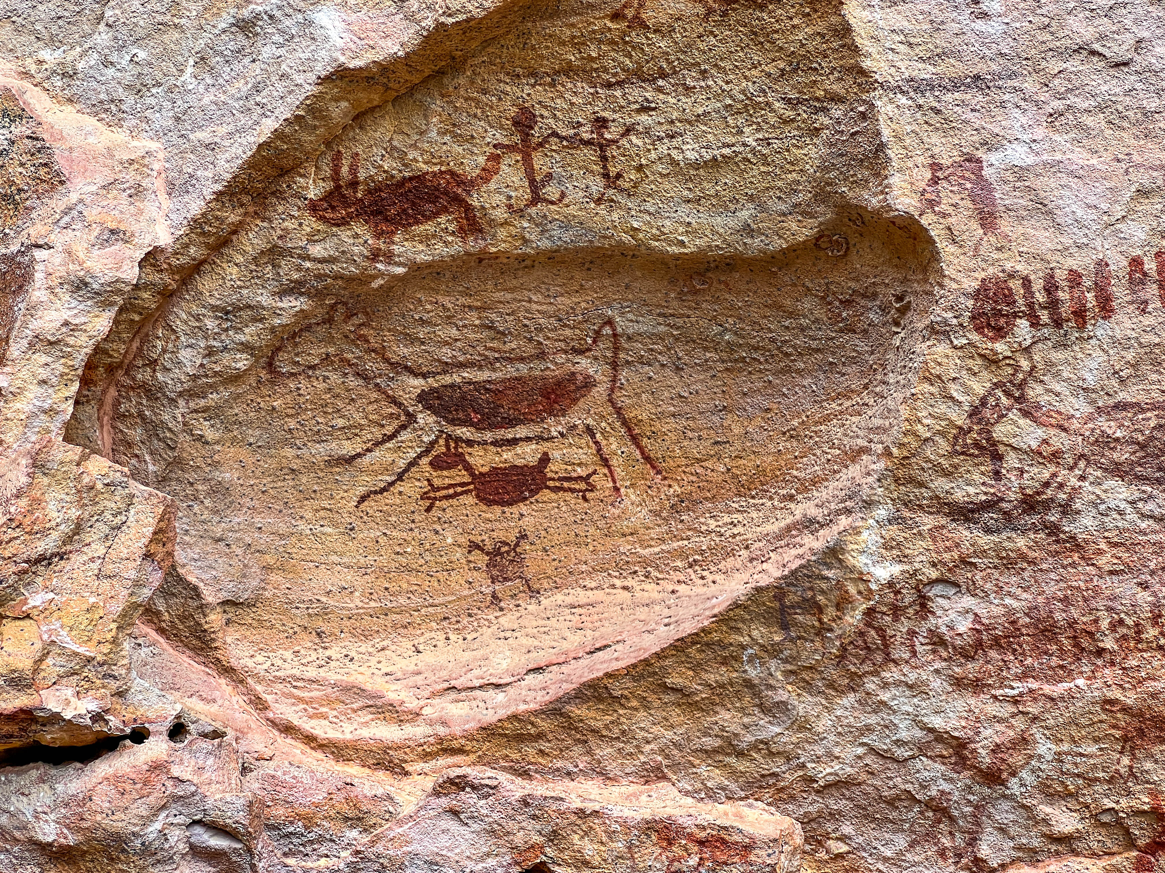 SERRA DA CAPIVARA 8