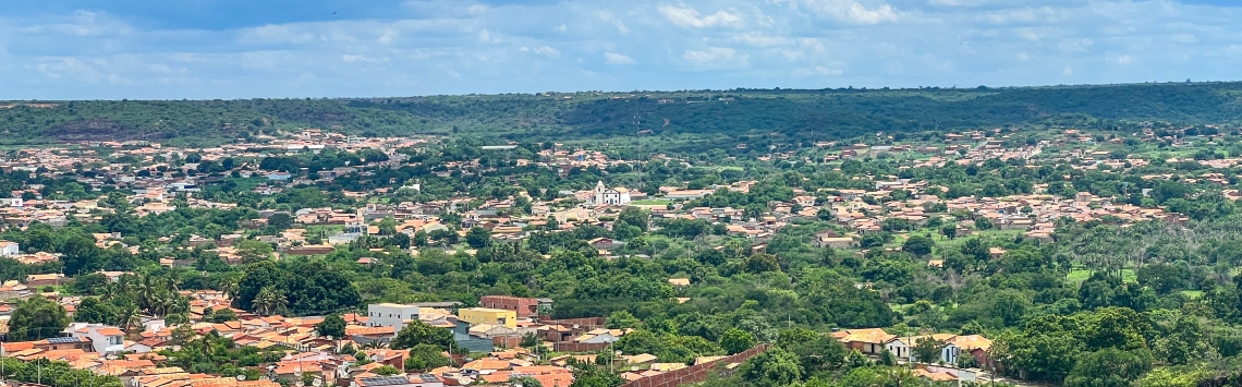 OEIRAS, A PRIMEIRA CAPITAL DO PIAUÍ 9